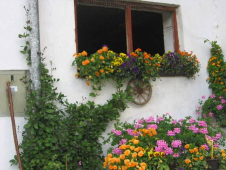 foto10