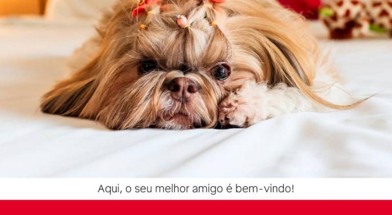 foto42