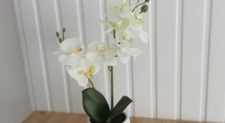foto28