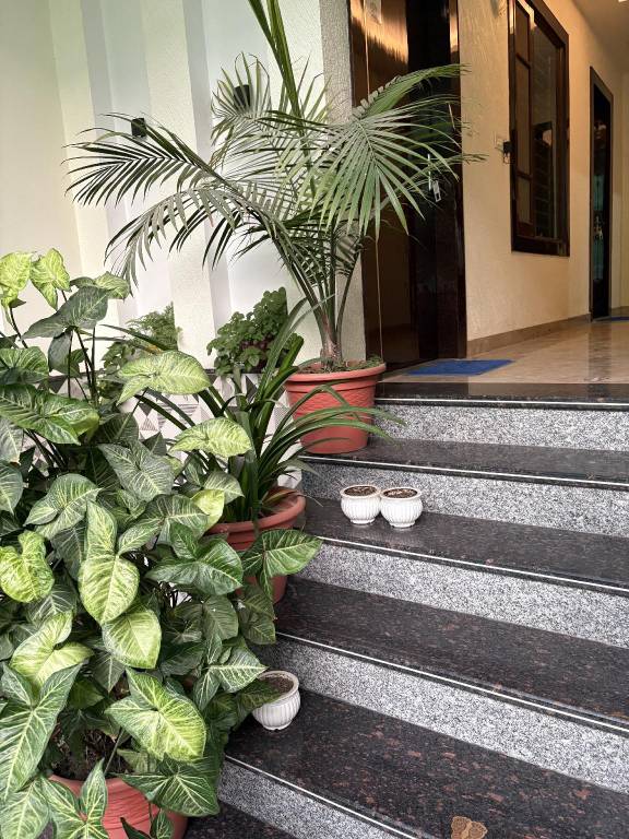 Krishna cottage — photo 3