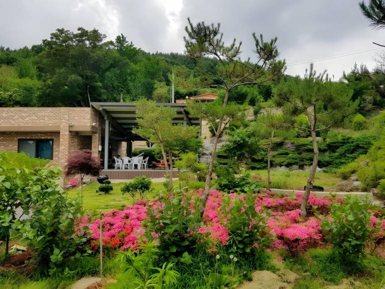 foto20