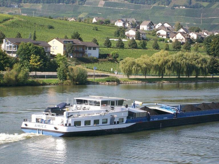 Ferienhaus Piesport