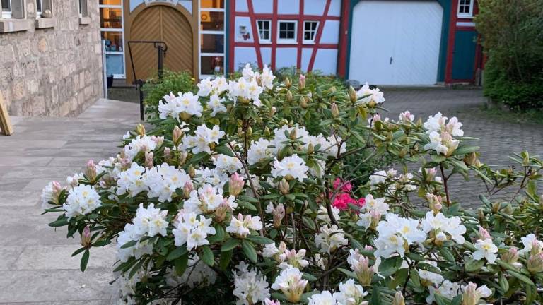 Ferienwohnung Rothenburg ob der Tauber