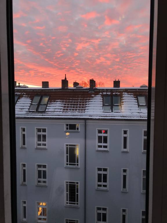 foto1