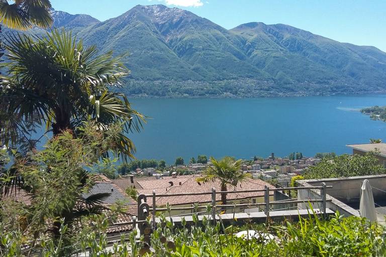 foto4