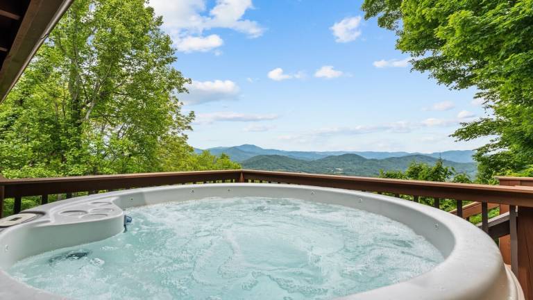 Cabin Waynesville