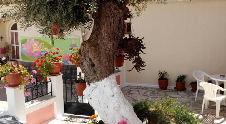 Apartment with terrace | Beach nearby | Good for workation | Dogs allowed — photo 4