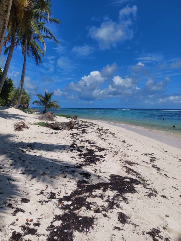 Maison de vacances Marie-Galante