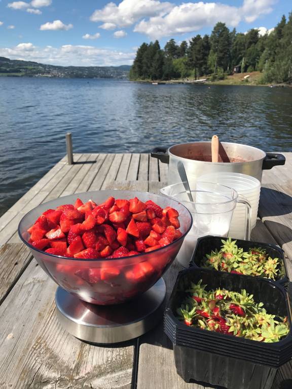 Hytte Ringsaker