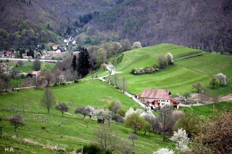 foto38