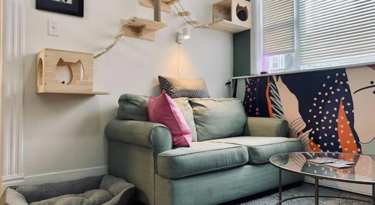 Holiday apartment with patio in Halifax, NS