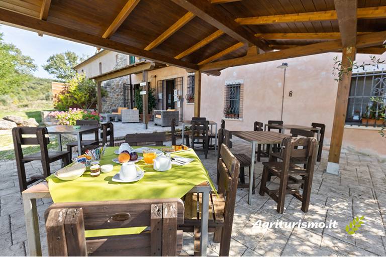 Agriturismo Il Quarto: Gentian — photo 5
