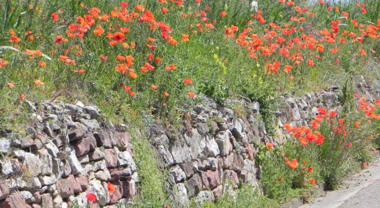 foto17