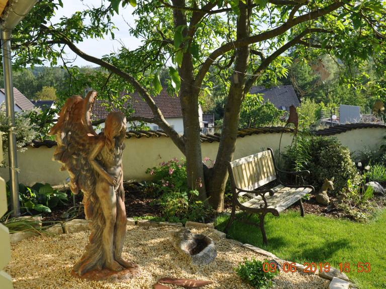 foto8