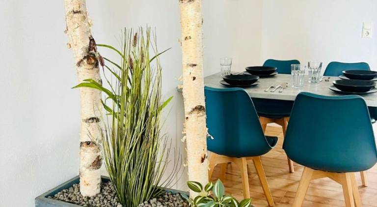 Rental apartment | Pets are welcome in Kehl