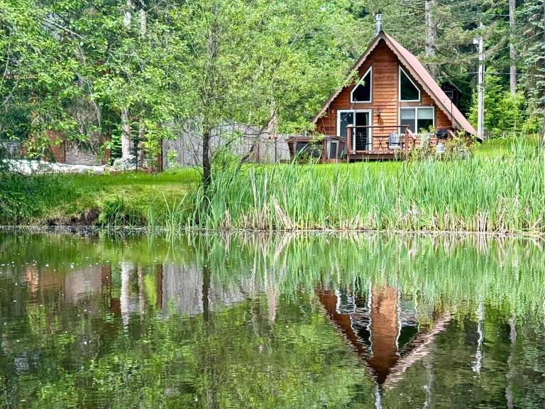 Cabin Ashford
