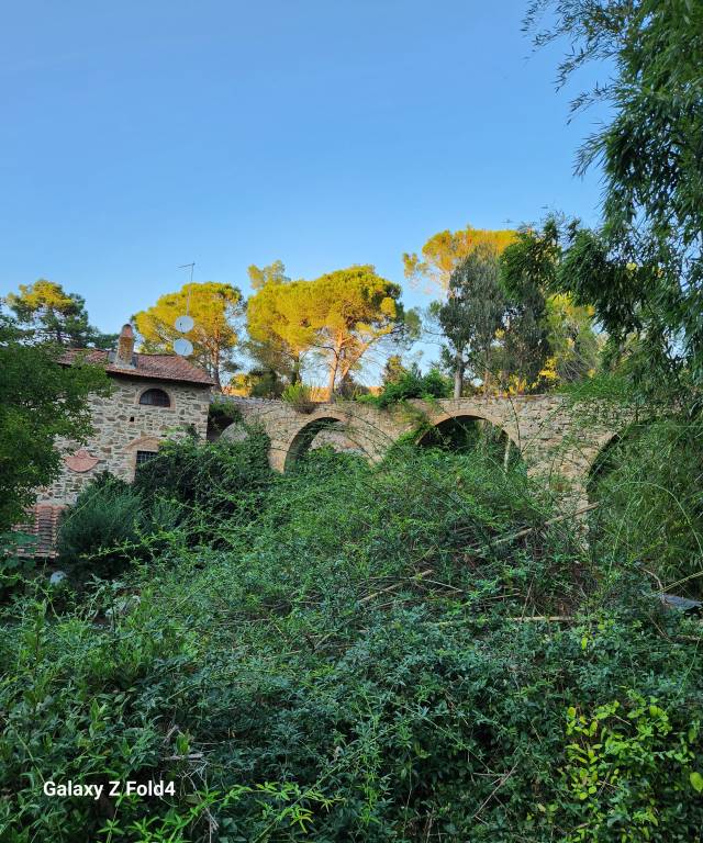 foto34