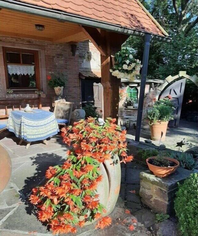 Ferienhaus Loxstedt