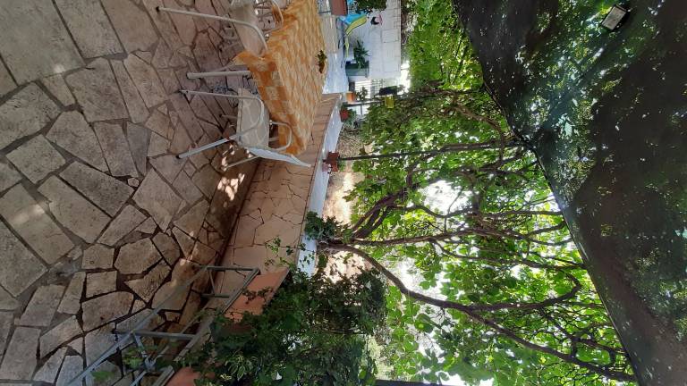foto41