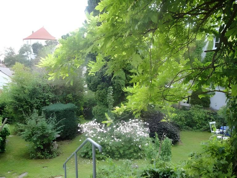 foto31
