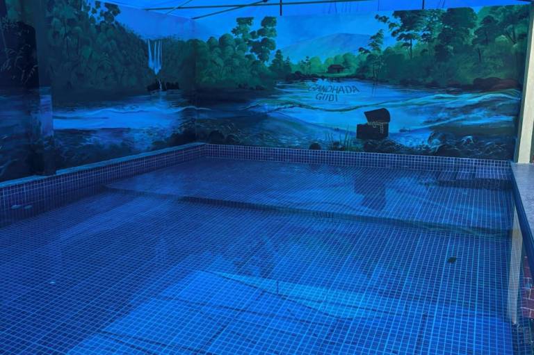 GandhadaGudi Nature Retreat