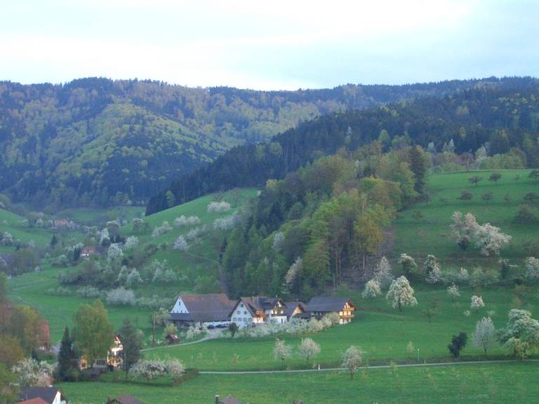 Ferienwohnung Glottertal