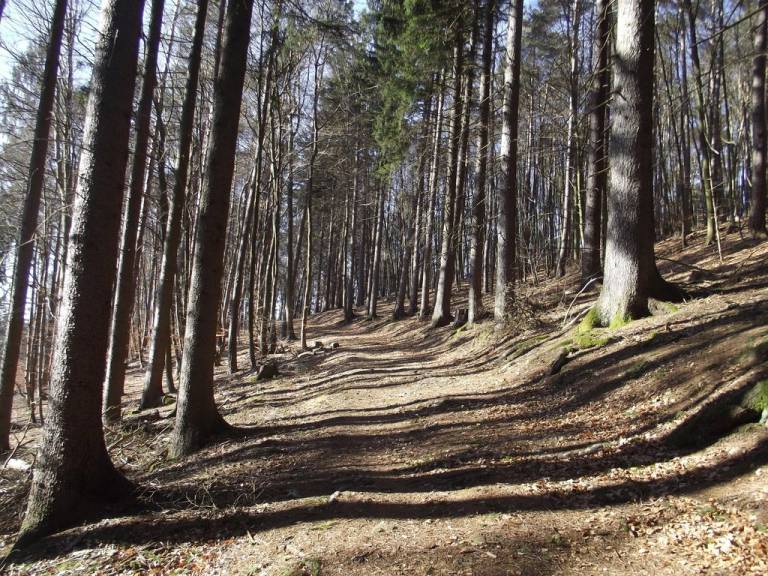 foto15