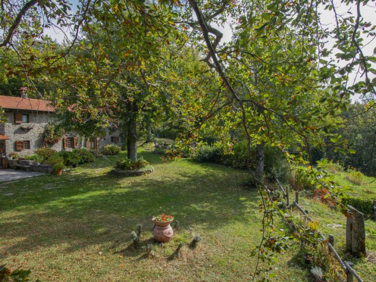 foto21