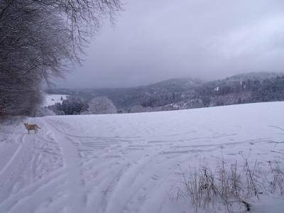 foto31