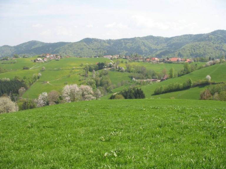 foto17