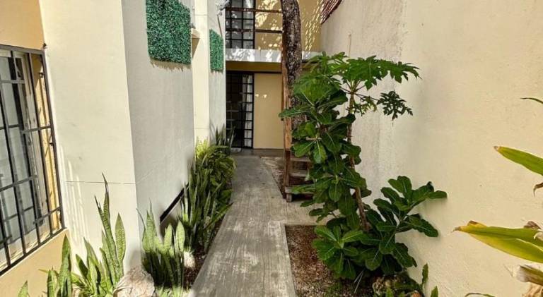 Holiday apartment | Dogs allowed — photo 5