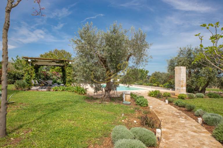 House with private pool & yard — photo 3