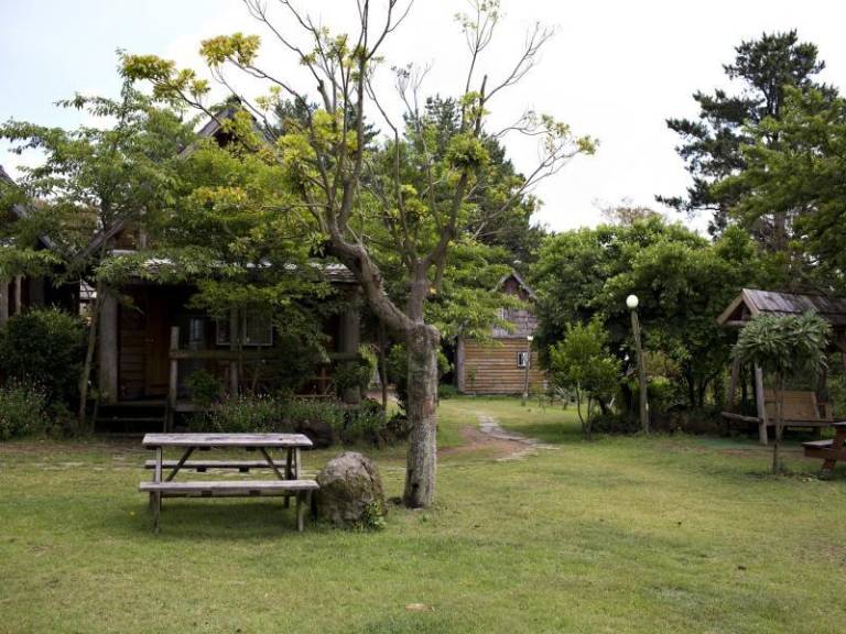 foto42