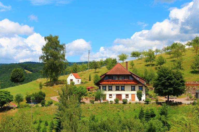 foto11