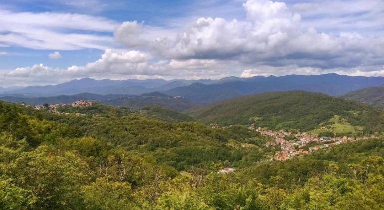 Beautiful rental apartment | Pet-friendly in Vernazza