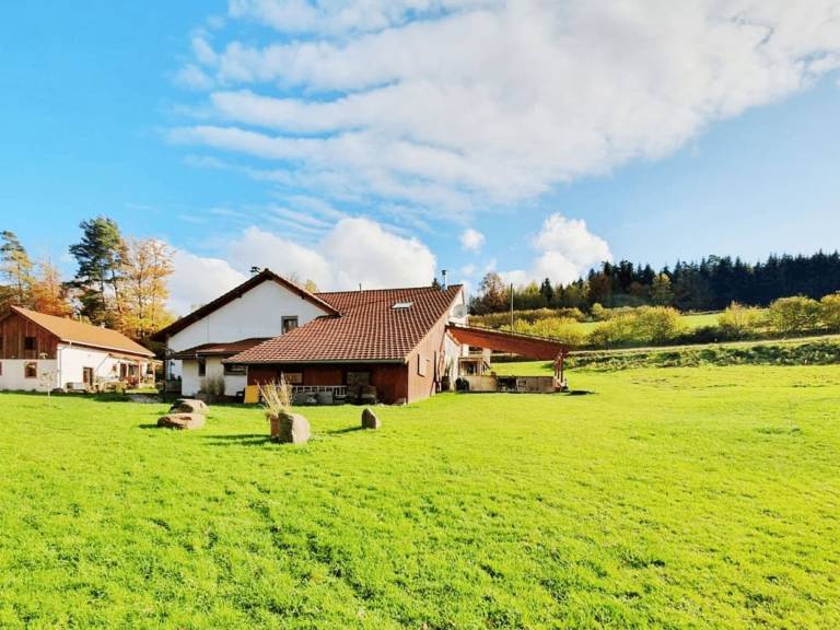 Maison de vacances Aumontzey