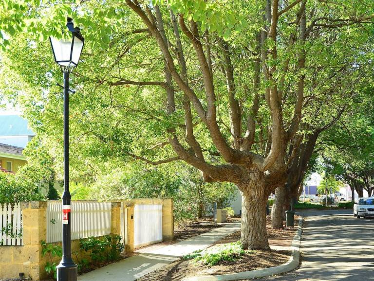 Apartment City of Perth