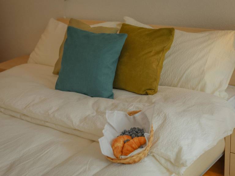 Ferienwohnung mit Hund in Saas-Fee für max. 4 Personen Ferienwohnung mit Hund in Saas-Fee für max. 4 Personen