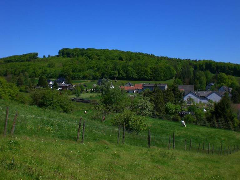foto5