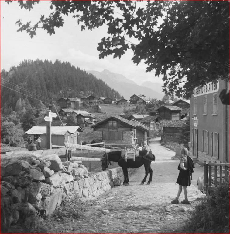 foto43