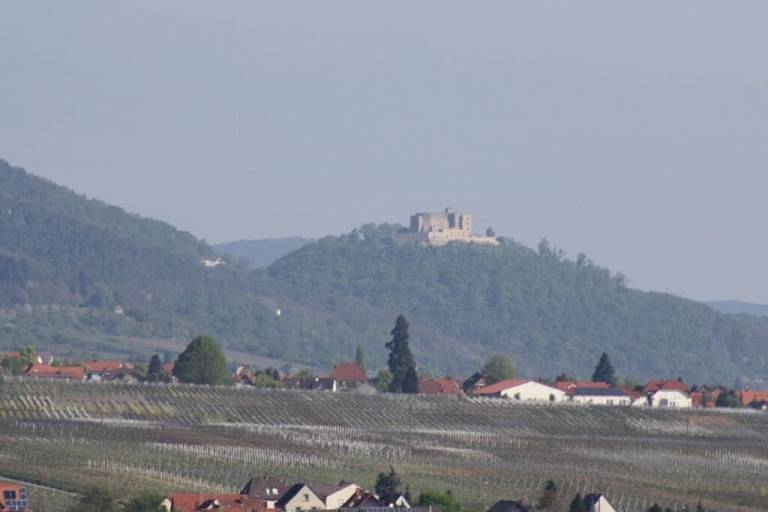 foto16