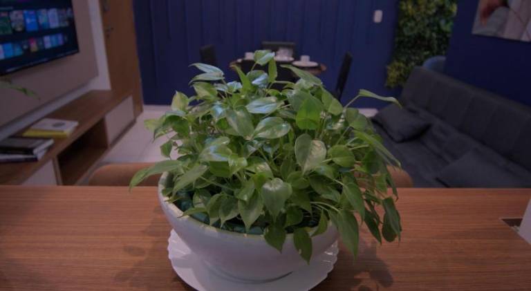 foto29