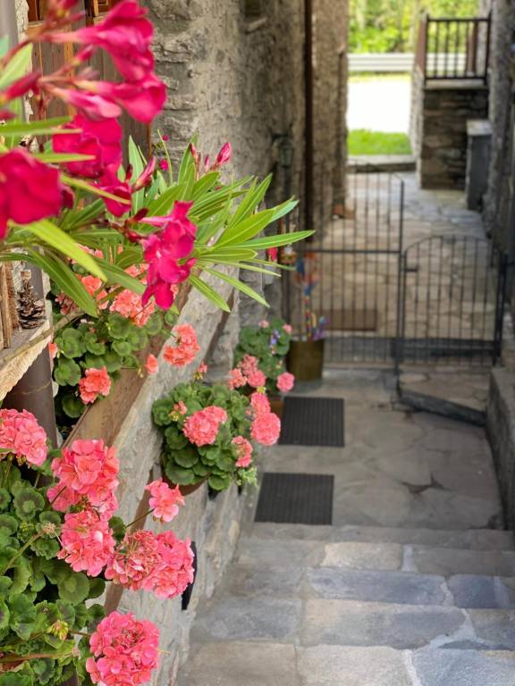 Apartment with terrace | Pet-friendly in Aosta