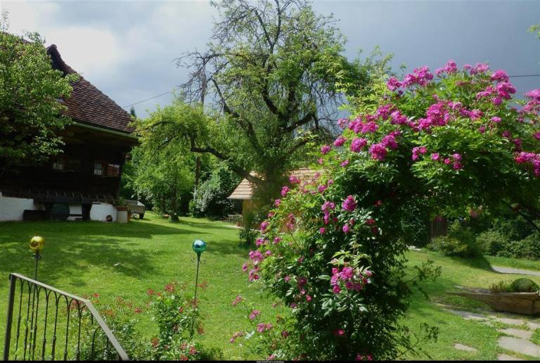 foto13