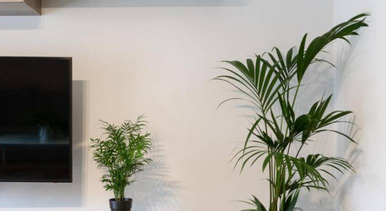 Apartment with terrace | Next to Tajo de Ronda | Perfect for remote work | Pets are welcome in Ronda