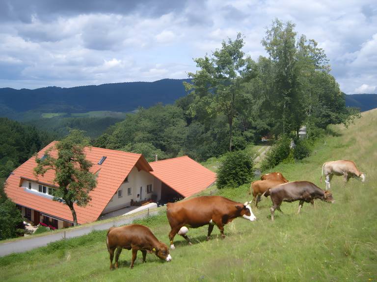 foto16