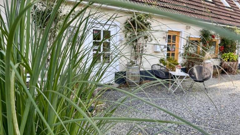 Ferienwohnung  Holnis