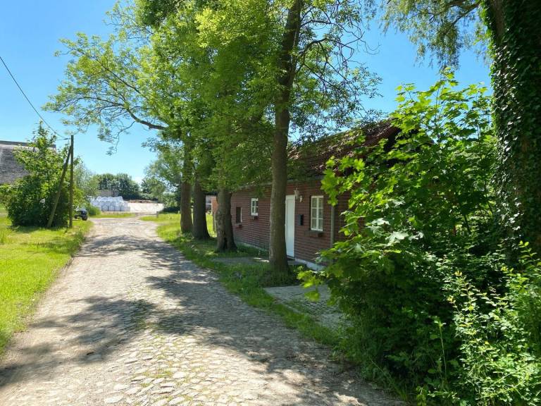 foto15