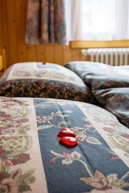 Ferienwohnung  Grächen