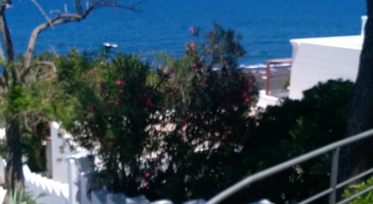 foto39